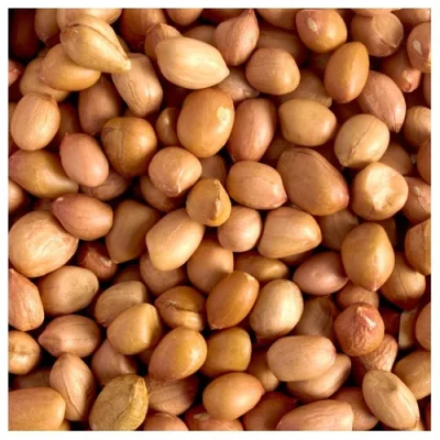 natural-raw-peanuts-500x500